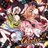 Casino! — ゆちゃP · Artwork via Apple Music